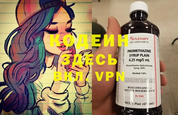 сатива Балахна