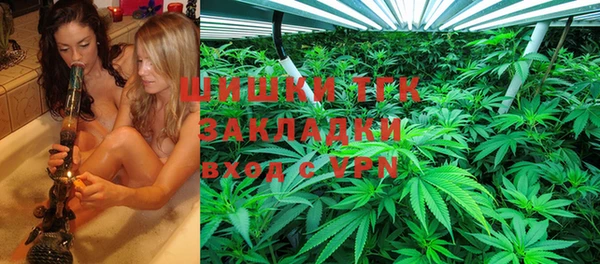 сатива Балахна