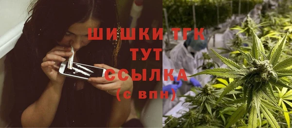 сатива Балахна