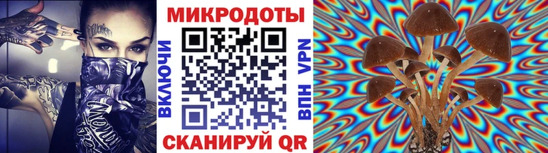 Галлюциногенные грибы Magic Shrooms Владивосток